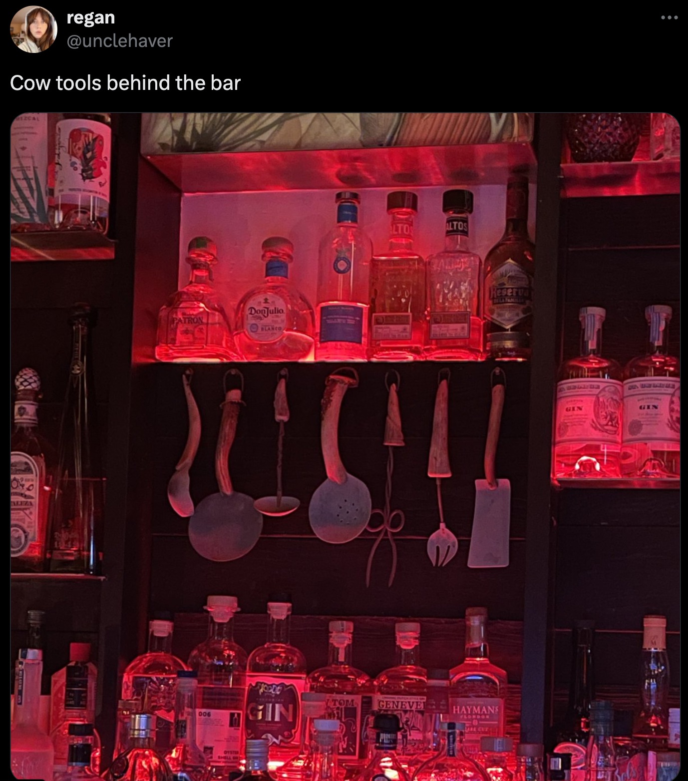 absolut vodka - regan Cow tools behind the bar To C Parseve Gin Maymand